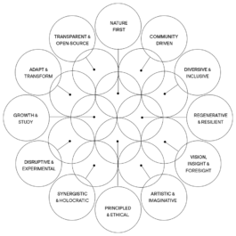 NON COMPANY